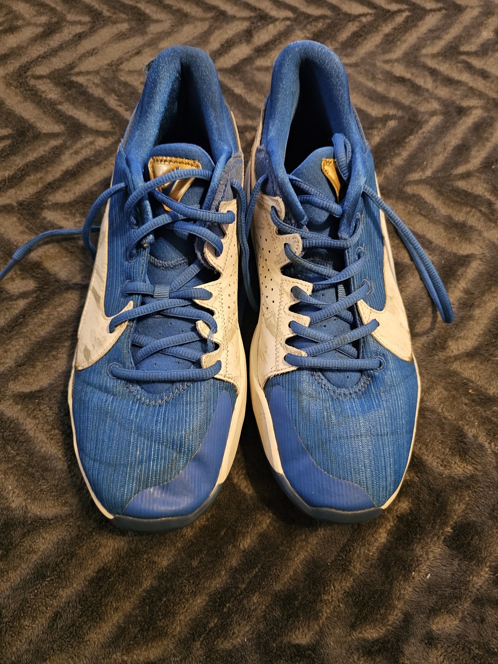 Nike Zoom Freak 2 Giannis Youth Blue White Gold Basketball Shoes 6.5 Y